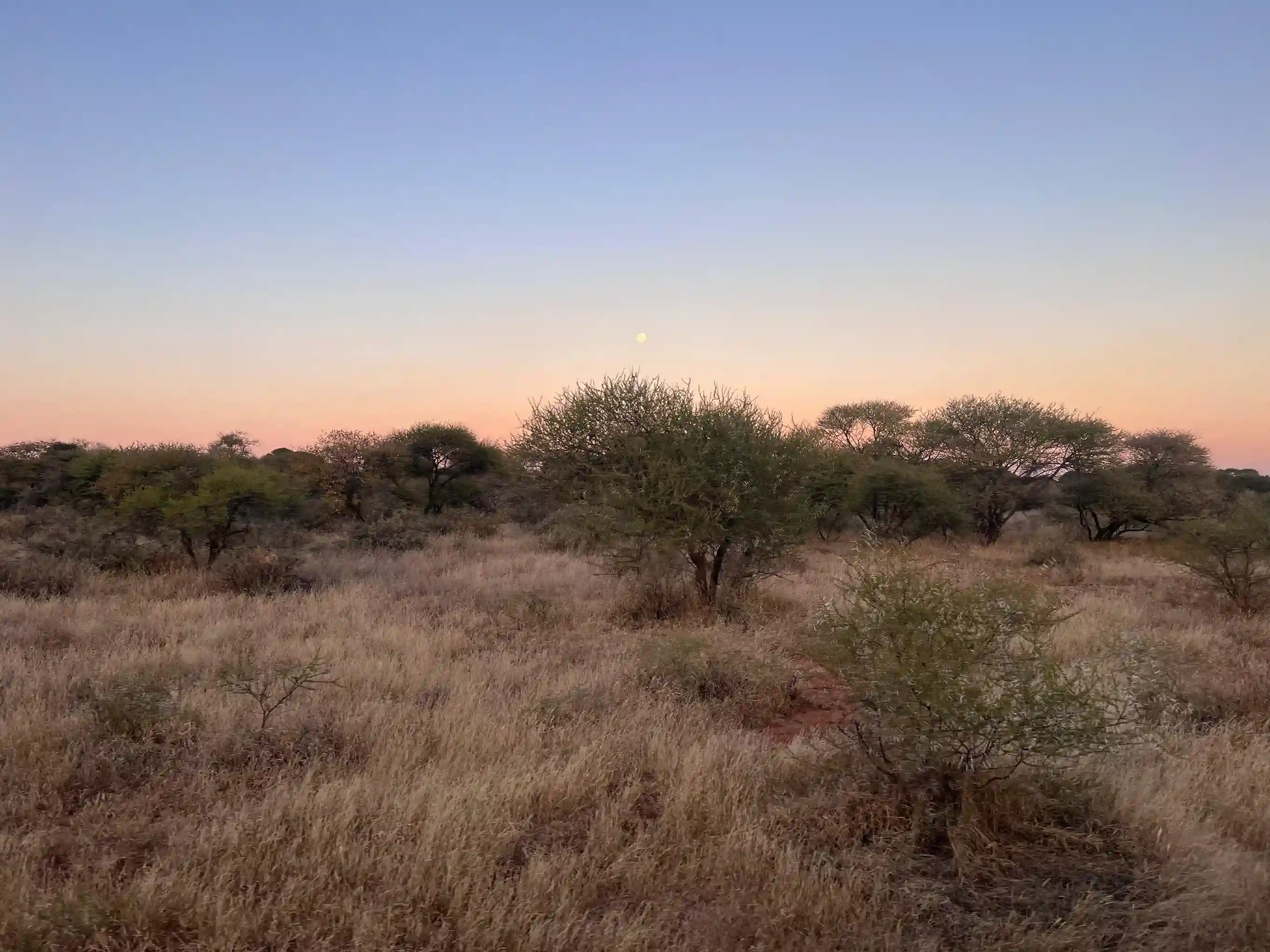 ntorno natural del lodge al atardecer, con edificios de estilo africano rodeados de naturaleza y total tranquilidad.